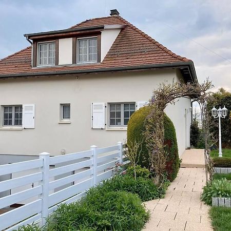 Le Papillon,Logement Cosy En Alsace Erstein Kültér fotó